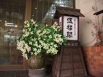 �ޘO�t