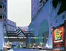 �E�F���l�X�̐X�@�ɓ��F�΂Ɉ͂܂ꂽ�����N�[�[�V�����̊y���u�E�F���l�X�̐X�v