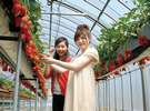 いちご狩り食べ放題プランのある宿|静岡