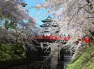 さくら・お花見の宿|青森 弘前公園