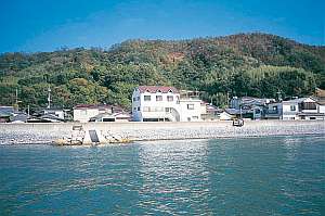 ���ι���ͼ�ۤνɡ��ڥ󥷥�󥵥󥻥åȥ�������&nbsp;��������