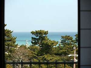 部屋からは阿児の松原越しに国府白浜
