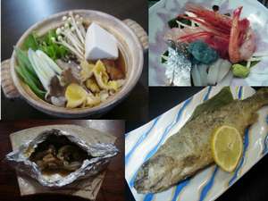 �V���o�[���H�F�n���̏{�̑f�ނ��g���������������p��