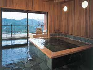 �F��Ó��̏h�@���̋������͂�摜