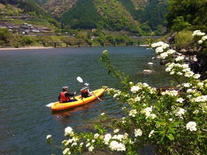 �̿�3