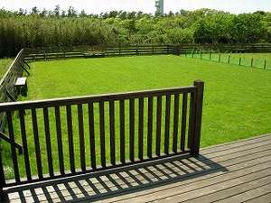 �ڂ̑O�̓h�b�O�����@Front Yard�@�i�t�����g���[�h�j�F�p�[�N�g���[���[���猩���h�b�O����