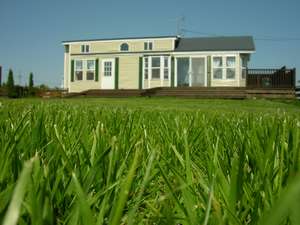 �ڂ̑O�̓h�b�O�����@Front Yard�@�i�t�����g���[�h�j�F�p�[�N�g���[���[
