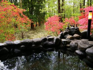 犬と遊べるペンション ありの塔:囲いもなく、ただ自然を愛でる露天風呂。運がよければ猿や鹿も顔を出しますよ♪