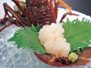 伊勢えび活造り…プリプリの食感