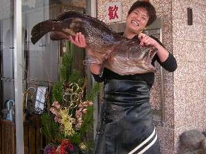 ������ѥΥ�ޤ�į���ɡ��д��ءʤȤ����&nbsp;��������