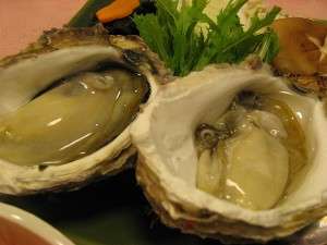 ���E�O���C�� �₷�炬�̏h �A�m�فF�^�K�L�i�ԍ�~���j