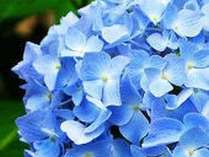 ���C���Ó�(��}��_���z�e���O���[�v�j