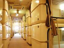 ���{���T�E�i�z�e���Β�摜