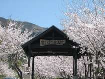 白水温泉 竹の倉山荘