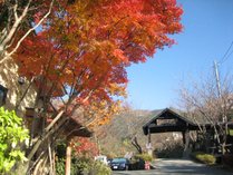 白水温泉 竹の倉山荘