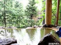 ���t���b�V���O�C���E�G���J���E�E�G���J��