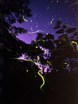 �ق낵�񉷐�ق����