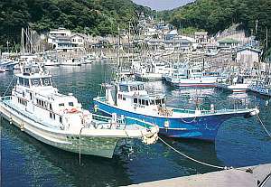 漁師宿体験 お気軽 手ぶらで船釣り体験 釣った魚は夕食で 漁師の宿 天然温泉 ぜいもや 宿泊予約は じゃらん