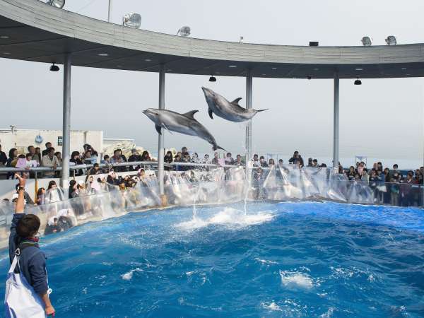 駐車場無料 家族旅行応援 不思議な海の旅に出発 水族館うみたまごプラン バイキング朝食付 レンブラントホテル大分 宿泊予約は じゃらん