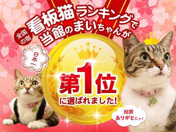 夕食個室 ねこ女将からのプレゼント 通常価格よりニャンキュー 2 900円 Offのspニャンキュープラン 天童温泉 松伯亭 あづま荘 宿泊予約は じゃらん