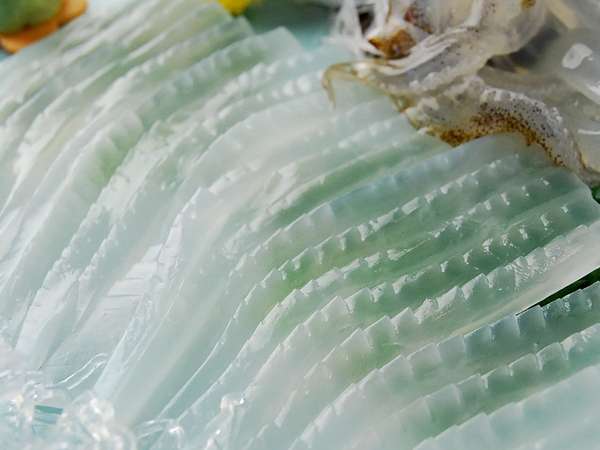 期間限定 活サバ 活イカプラン 海辺の宿 清力 宿泊予約は じゃらん