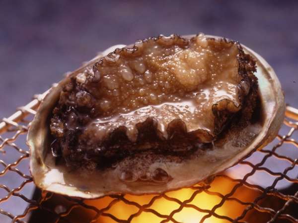 本館:スタンダードプラン】豪華舟盛・アワビ踊り焼きを楽しめる 本館:スタンダードプラン】豪華舟盛・アワビ踊り焼きを楽しめる