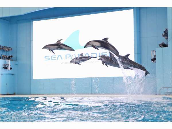 観光 横浜特集 八景島シーパラダイスプラン 水族館 乗り物乗り放題チケット付 新横浜グレイスホテル 宿泊予約は じゃらん