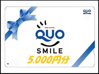 Quoカード5 000円券プラン 素泊まり Gotoトラベルキャンペーン対象外 天然温泉に入れるビジネスホテル 那須パレスホテル 宿泊予約は じゃらん