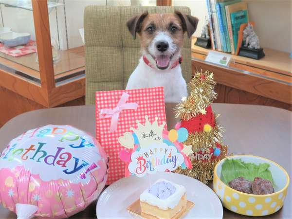 愛犬 愛猫バースデープラン 年に1度の誕生日をお祝い ケーキやプレゼントなどの特典つき ペット同室宿泊パイオニアの宿 きぬ川国際ホテル 宿泊予約は じゃらん
