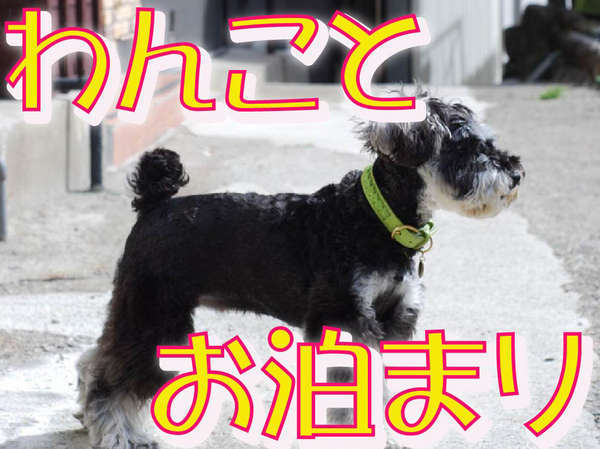 早期割30 犬 ペット 同宿歓迎 お得な５大特典 七輪で飛騨牛ジュ ジュー炭火焼 わんこと泊まれる わん泊亭 下呂温泉 アルメリアグループ 宿泊 予約は じゃらん