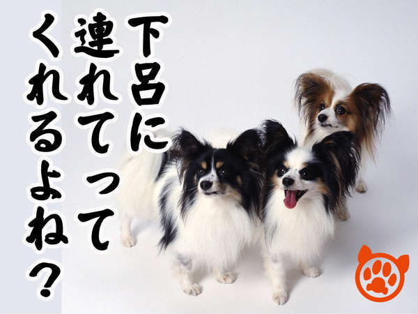 ペット 犬 とお泊り 夕食のみで温泉を満喫 飛騨牛食べ尽くし会席 １泊夕食 わんこと泊まれる わん泊亭 下呂温泉 アルメリアグループ 宿泊予約は じゃらん