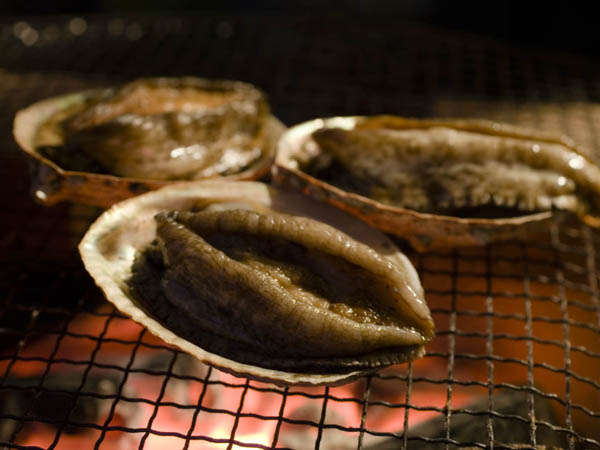 好評 活アワビの踊り焼き 旬の海鮮料理 食事はゆったり朝 夕部屋だし 海辺の宿福住 宿泊予約は じゃらん