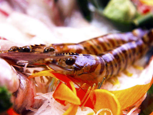 お手軽 活 車海老の踊り食い付 海鮮コース 名鉄海上観光船 Off 漁師の民宿 三昇 宿泊予約は じゃらん