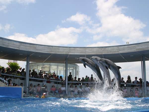 大分観光をenjoy 大分マリーンパレス水族館うみたまご 入場券付きプラン 1泊2食 城島高原ホテル 宿泊予約は じゃらん