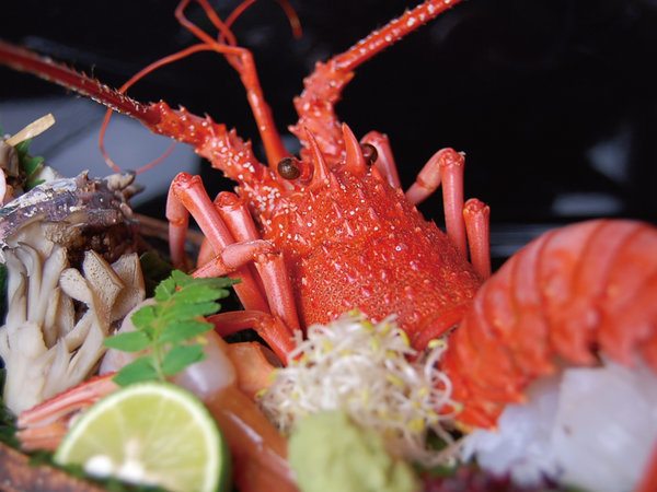 伊勢海老/他二種の姿盛と黒毛和牛付☆二大味覚創作会席】ご夕食は