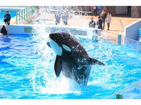 海一望！半露天風呂付き客室×鴨川シーワールド入園券付×2名で1本の