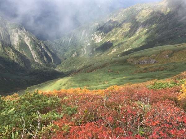 カヌー紅葉プラン 紅葉をカヌーから楽しもう まるでカナダのような風景 カヌー料金も含まれています ナチュラルハウス ピュア21 宿泊予約は じゃらん