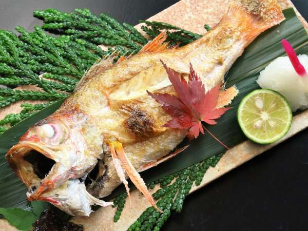 のどぐろ塩焼き 幻の高級魚と創作和会席 1泊2食付グレードアッププラン 朝夕部屋食 金沢の奥座敷 歴代藩主も愛した湯 お宿やました 宿泊予約は じゃらん