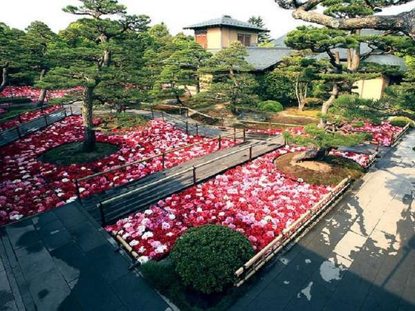 特典 日本庭園 由志園 入園券付カップルプラン レイトチェックアウト１２ ００まで無料 ホテルハーベストイン米子 宿泊予約は じゃらん