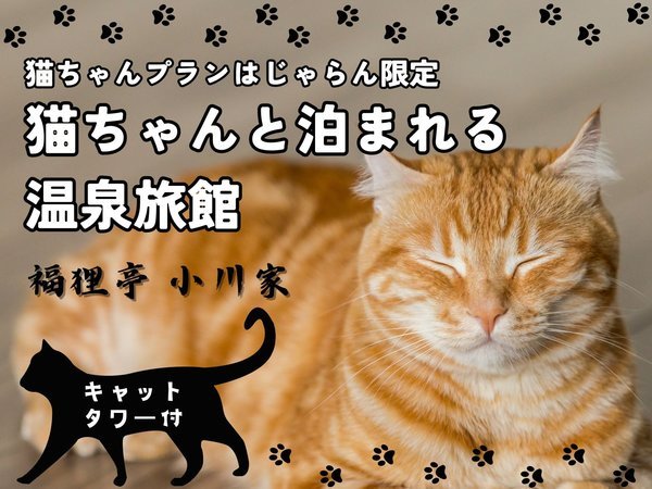 猫ちゃん専用プラン】猫ちゃんと朝夕お部屋食♪キャットタワーとおもちゃ付！１組限定☆じゃらん限定☆ 福狸亭 小川家 - 宿泊予約は[じゃらん]