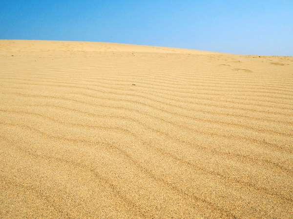 素泊まり 食事なし 鳥取砂丘車40分 竹田城跡車75分 一人旅にも チェックイン21時迄 山陰湯村温泉 湧泉の宿 ゆあむ 宿泊予約は じゃらん