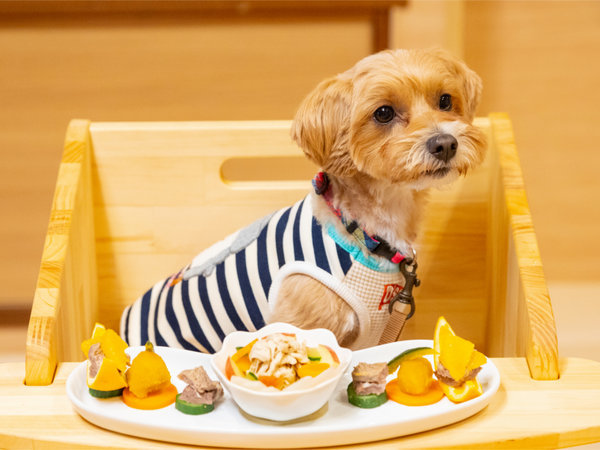 ワンちゃんとお泊り♪】夕食はお部屋食！ガーデンテラス露天風呂と専用