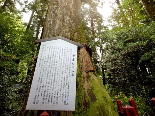 妊婦さんへ 出産前に癒しの時間 マタニティプラン 箱根芦ノ湖温泉 和心亭 豊月 宿泊予約は じゃらん