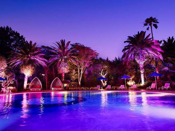 ナイトプール ステイ Shell Pool ナイトプール 入場券 朝食付 ホテルニューオータニ幕張 宿泊予約は じゃらん