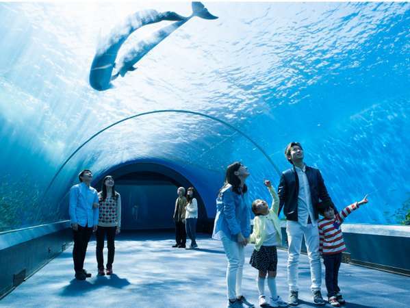 横浜・八景島シーパラダイス・アクアリゾーツパス&朝食付き 横浜・八景島シーパラダイス・アクアリゾーツパス&朝食付き