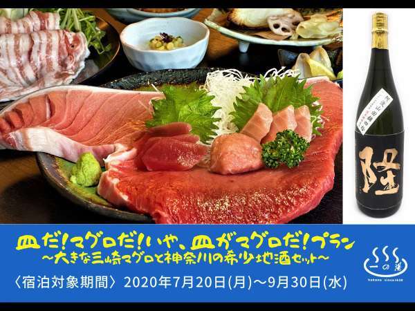 皿だ マグロだ いや 皿がマグロだ プラン ペットと一緒に泊まれる宿 仙石高原大箱根 一の湯 宿泊予約は じゃらん