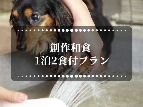 人気のスタンダードプラン 大切なワンちゃんと一緒に泊まれる宿 創作和食 1泊2食付プラン ペットと一緒に泊まれる宿 仙石高原大箱根 一の湯 宿泊予約は じゃらん