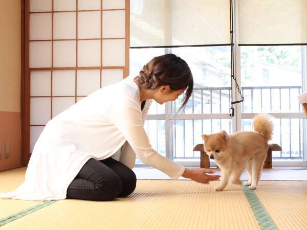 ペットと一緒に過ごす 小型犬歓迎 ワンちゃんとの楽しい思い出作り 雲見温泉 浜道楽 宿泊予約は じゃらん