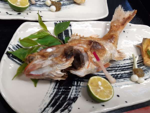 いそやスタイル海鮮料理 地魚デラックスプラン 三国温泉 料理民宿 いそや 宿泊予約は じゃらん