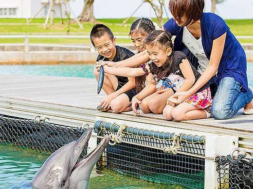 ◇ハッピードルフィン事前予約◇】小さなお子様連れに人気♪かわいい